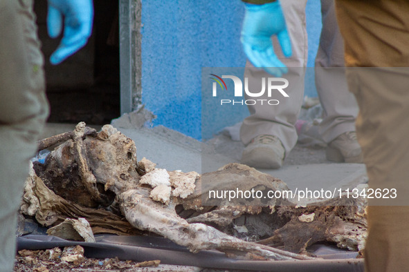 Two skeletal remains are being found beneath the Santa Fe International Bridge in Ciudad Juarez, Chihuahua. The bodies, in an extreme state...