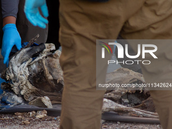 Two skeletal remains are being found beneath the Santa Fe International Bridge in Ciudad Juarez, Chihuahua. The bodies, in an extreme state...