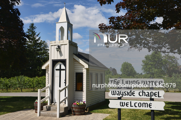 The Living Water Wayside Chapel in Niagara-on-the-Lake, Ontario, Canada, is holding the Guinness Book of World Records title for the smalles...