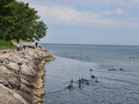 People are walking along a waterfront trail by Lake Ontario at Queen's Royal Park in Niagara-on-the-Lake, Ontario, Canada, on June 12, 2024....