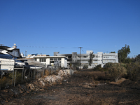 Industrial property is being damaged by a wildfire breaking out in Koropi near Athens, Greece, on June 19, 2024. (