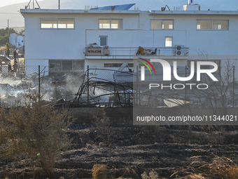 Industrial property is being damaged by a wildfire breaking out in Koropi near Athens, Greece, on June 19, 2024. (