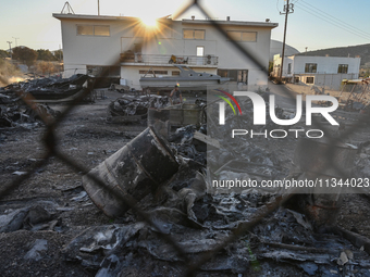 Industrial property is being damaged by a wildfire breaking out in Koropi near Athens, Greece, on June 19, 2024. (