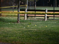 An 18-year-old male victim is being shot in Chicago, Illinois, United States, on June 19, 2024. Shell casings are being located inside of Ch...