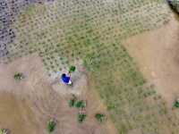 A farmer is inserting seedlings in his flood-hit rice field in Gaozhai village, Guizhou province, China, on June 20, 2024. (