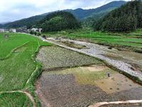 A farmer is inserting seedlings in his flood-hit rice field in Gaozhai village, Guizhou province, China, on June 20, 2024. (