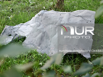 A piece of metal is lying on the grass outside an administrative building of the State Research Control Institute of Veterinary Medicinal Pr...