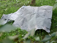 A piece of metal is lying on the grass outside an administrative building of the State Research Control Institute of Veterinary Medicinal Pr...