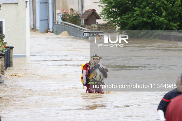 Firefighters are rescuing a dog after a huge storm in Narcy, center in France, on June 20, 2024. 