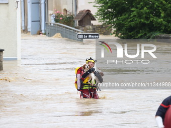 Firefighters are rescuing a dog after a huge storm in Narcy, center in France, on June 20, 2024. (