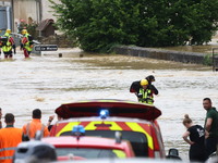 Firefighters are rescuing a dog after a huge storm in Narcy, center in France, on June 20, 2024. (