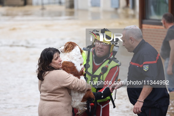 Firefighters are rescuing a dog after a huge storm in Narcy, center in France, on June 20, 2024. 