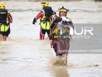 Firefighters are rescuing a dog after a huge storm in Narcy, center in France, on June 20, 2024. (