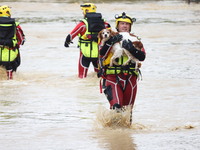 Firefighters are rescuing a dog after a huge storm in Narcy, center in France, on June 20, 2024. (