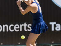 Marketa Vondrousova is participating in the ecotrans Ladies Open, WTA 500 tournament in Berlin, Germany, on June 20, 2024. (