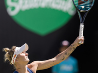 Marketa Vondrousova is participating in the ecotrans Ladies Open, WTA 500 tournament in Berlin, Germany, on June 20, 2024. (