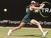 Elena Rybakina is participating in the ecotrans Ladies Open, WTA 500 tournament in Berlin, Germany, on June 20, 2024. (