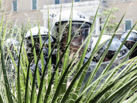 Gathering and protest march of LARCO workers, with the participation of public and private sector trade unions, Athens, June 20, 2024. (