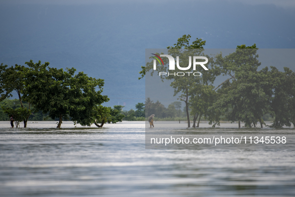 People are wading through a flooded street in Companiganj, Sylhet, Bangladesh, on June 20, 2024. In Sylhet, lashing rain and rivers swollen...