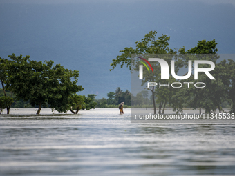 People are wading through a flooded street in Companiganj, Sylhet, Bangladesh, on June 20, 2024. In Sylhet, lashing rain and rivers swollen...