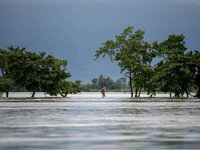 People are wading through a flooded street in Companiganj, Sylhet, Bangladesh, on June 20, 2024. In Sylhet, lashing rain and rivers swollen...