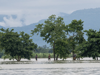 People are wading through a flooded street in Companiganj, Sylhet, Bangladesh, on June 20, 2024. In Sylhet, lashing rain and rivers swollen...