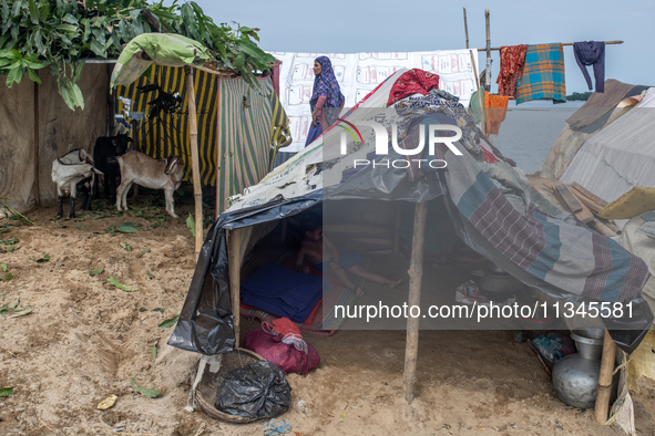 Local residents are taking temporary shelter in elevated areas during flooding in Companiganj, Sylhet, Bangladesh, on Thursday, June 20, 202...