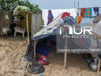 Local residents are taking temporary shelter in elevated areas during flooding in Companiganj, Sylhet, Bangladesh, on Thursday, June 20, 202...