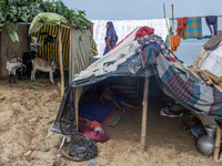 Local residents are taking temporary shelter in elevated areas during flooding in Companiganj, Sylhet, Bangladesh, on Thursday, June 20, 202...