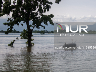 A child is playing with a raft in floodwater in Companiganj, Sylhet, Bangladesh, on Thursday, June 20, 2024. In Sylhet, lashing rain and riv...