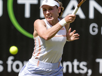 Ekaterina Alexandrova is participating in the ecotrans Ladies Open, WTA 500 tournament in Berlin, Germany, on June 20, 2024. (