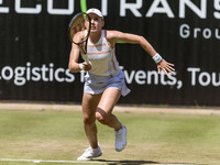 Ekaterina Alexandrova is participating in the ecotrans Ladies Open, WTA 500 tournament in Berlin, Germany, on June 20, 2024. (