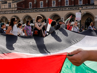 Palestinians and their supporters hold a protest on an International Refugee Day in support of Palestine and against Israeli war actions in...