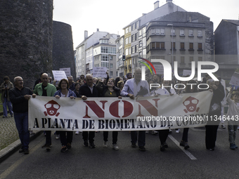 Civil society from the province of Lugo is demonstrating against the installation of a biomethane plant in the town of Coeses in Lugo, Galic...