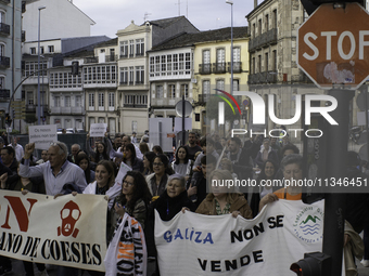 Civil society from the province of Lugo is demonstrating against the installation of a biomethane plant in the town of Coeses in Lugo, Galic...