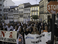 Civil society from the province of Lugo is demonstrating against the installation of a biomethane plant in the town of Coeses in Lugo, Galic...