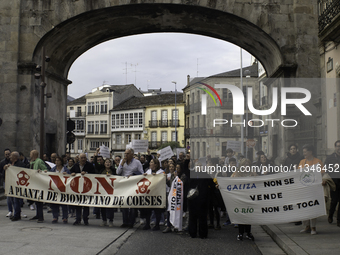 Civil society from the province of Lugo is demonstrating against the installation of a biomethane plant in the town of Coeses in Lugo, Galic...