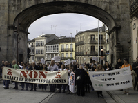 Civil society from the province of Lugo is demonstrating against the installation of a biomethane plant in the town of Coeses in Lugo, Galic...