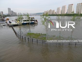 Part of the pedestrian walkway is being submerged by the rising waters of the Sandao pier along the Songhua River in Jilin City, Jilin provi...