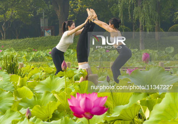 Yoga lovers are practicing yoga on the lotus pond trestle at Tiande Lake Park in Taizhou, China, on June 21, 2024. 