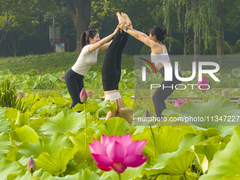 Yoga lovers are practicing yoga on the lotus pond trestle at Tiande Lake Park in Taizhou, China, on June 21, 2024. (