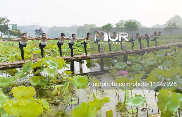 Yoga lovers are practicing yoga on the lotus pond trestle at Tiande Lake Park in Taizhou, China, on June 21, 2024. 