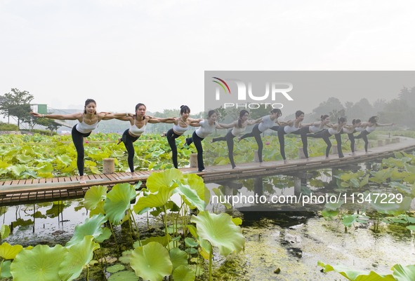 Yoga lovers are practicing yoga on the lotus pond trestle at Tiande Lake Park in Taizhou, China, on June 21, 2024. 