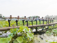 Yoga lovers are practicing yoga on the lotus pond trestle at Tiande Lake Park in Taizhou, China, on June 21, 2024. (