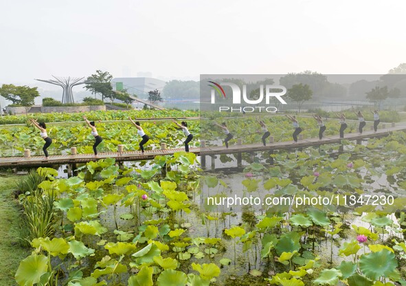 Yoga lovers are practicing yoga on the lotus pond trestle at Tiande Lake Park in Taizhou, China, on June 21, 2024. 