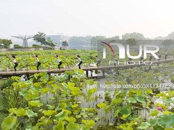 Yoga lovers are practicing yoga on the lotus pond trestle at Tiande Lake Park in Taizhou, China, on June 21, 2024. (