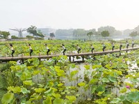 Yoga lovers are practicing yoga on the lotus pond trestle at Tiande Lake Park in Taizhou, China, on June 21, 2024. (