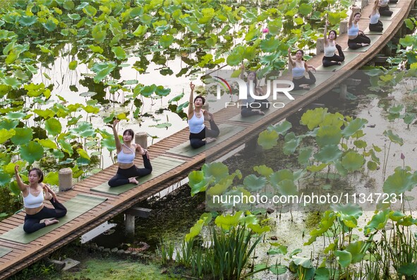 Yoga lovers are practicing yoga on the lotus pond trestle at Tiande Lake Park in Taizhou, China, on June 21, 2024. 