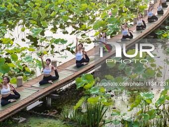 Yoga lovers are practicing yoga on the lotus pond trestle at Tiande Lake Park in Taizhou, China, on June 21, 2024. (