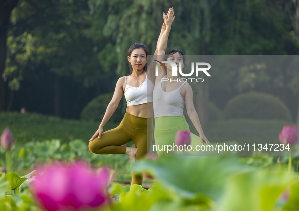 Yoga lovers are practicing yoga on the lotus pond trestle at Tiande Lake Park in Taizhou, China, on June 21, 2024. 